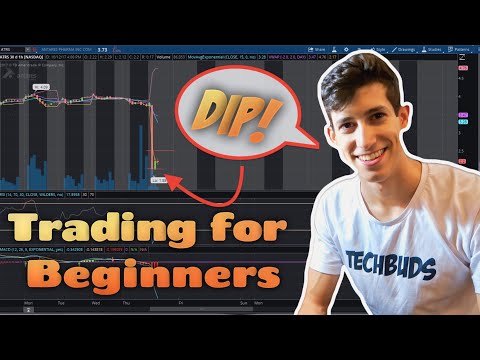3 Simple Steps To Profit On The Dip Buys | Momentum Trading 101, Omar Momentum Trading