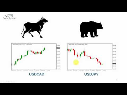 FOREX Long and Short, Forex Position Meaning
