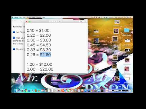 Forex Basics - Lot Sizes, Risk vs. Reward, Counting Pips, Forex Position Trading Kingdoms