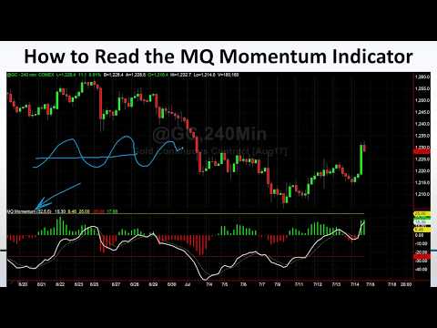 Become a Better Trader by Mastering Momentum Analysis in Futures, Options, Stocks and FOREX, Momentum Options Trading Review