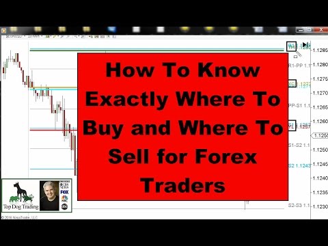 Forex Trader: How to Know Exactly Where to Buy and Sell, Forex Position Trading Goods