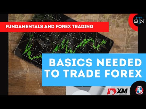 FUNDAMENTALS AND FOREX TRADING | Know the basics needed to trade Forex, Forex Position Trading Network