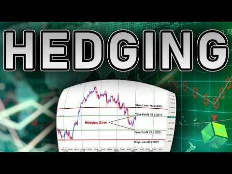 HEDGING TUTORIAL | Profit From ANY Direction!, Forex Position Trading Futures