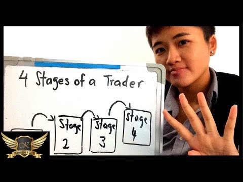 4 STAGES OF YOUR FOREX TRADING JOURNEY (BEGINNER TO EXPERT TRADER!), Forex Position Trading Experts