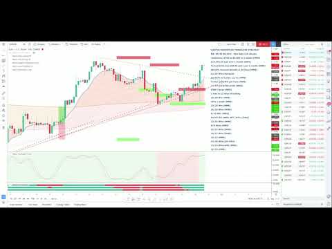 FOREX! - Trader Goes 20/20 Trading the Momentum Strategy!, Forex Momentum Trading Money