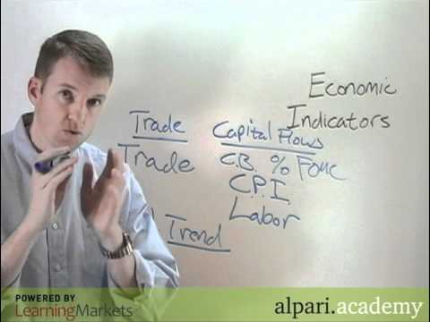 Lesson 4 - Economic indicators and their affect on Forex prices, Forex Position Trading Economy