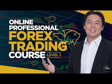 Professional Forex Trading Course Lesson 1 By Adam Khoo, Forex Position Trading Education