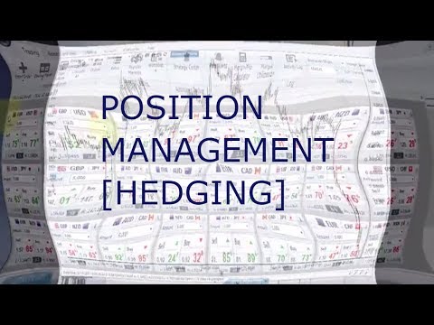 Professional Traders Position Management in Forex Trading - Hedging, portfolio and money management, Forex Position Trading In Stock