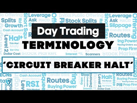 Circuit Breaker Halt Explained (With Examples), Forex Momentum Trading Halt