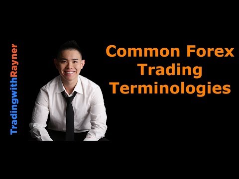 Forex Trading for Beginners #4: Common Forex Trading Terminologies by Rayner Teo, Forex Position Trading Terminology