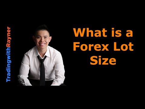 Forex Trading for Beginners #5: What is a Forex Lot Size by Rayner Teo, Position Size In Forex Trading