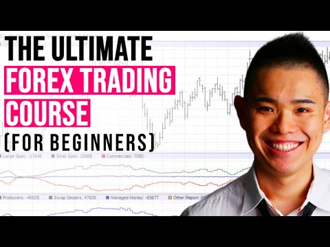 The ULTIMATE Forex Trading Course for Beginners, Scalper Micro Trading XN
