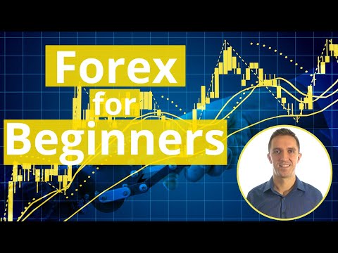 Forex for Beginners: Free Course For Algo Trading, Forex Algorithmic Trading Basics
