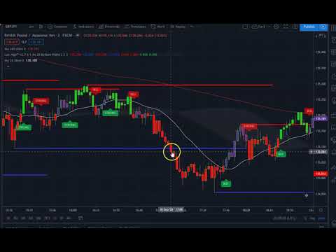 Lux Algo Review. New Time Frame Experiment. Stock Option Followup., Forex Algorithmic Trading Reddit