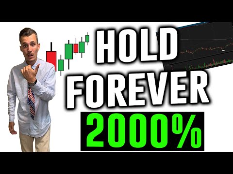 Top 3 Penny Stocks to Buy and Hold FOREVER | 2000% +, Mohegan Momentum Trading Post