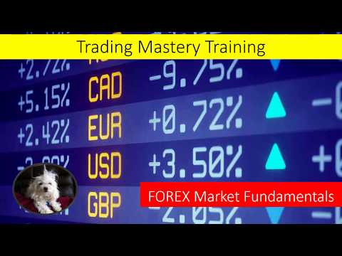 FOREX Market Fundamentals, Forex Event Driven Trading Express