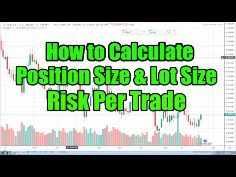 How to Calculate Position Size & Lot Size Risk Per Trade in Forex, Forex Trade Position Size Calculator
