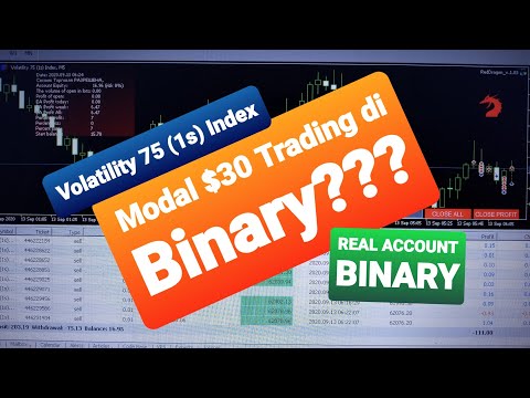 Modal $30 Trading di Binary MT5 Consisten Profit, Forex Algorithmic Trading Kilat