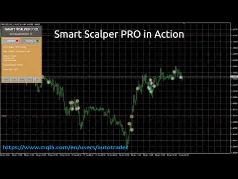 Smart Scalper PRO in Action! $168 profit in 8 days! LOW Drawdown! High profit factor 5.40!, Professional Scalper