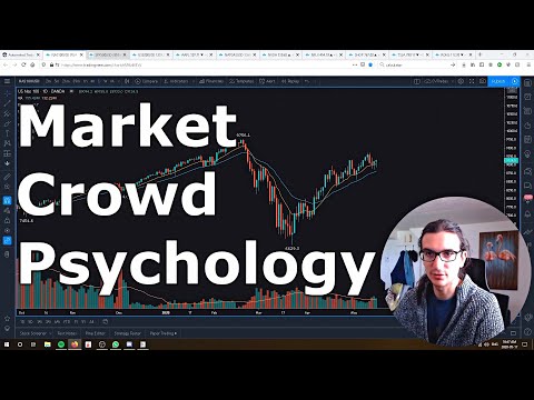 Stock Market Crowd Psychology (Examples of herd mentality and impulsive decisions), Momentum Trading Herding
