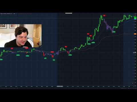 Switching to Trading View (Lux Algo), Forex Algorithmic Trading Views