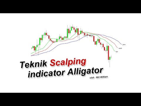Teknik SCALPING dengan Indikator Alligator, Indikator Swing Trading Forex
