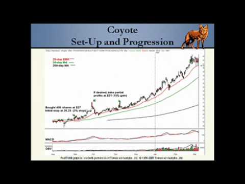 Use "The Coyote Trade" Establish Position Trades in ETFs, Forex Position Trading Etfs