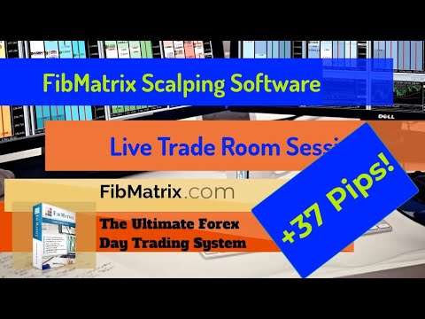 09 16 2020 5 Trades 37 Pips! FibMatrix Forex Scalping Software Live Trade Room Session