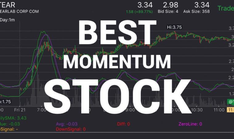 How We Found The Best Momentum Stock (Group Alerts) 2017 | Day Trading For Beginners