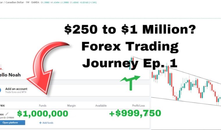 $250 Forex Trading Growth Challenge | The Start #1