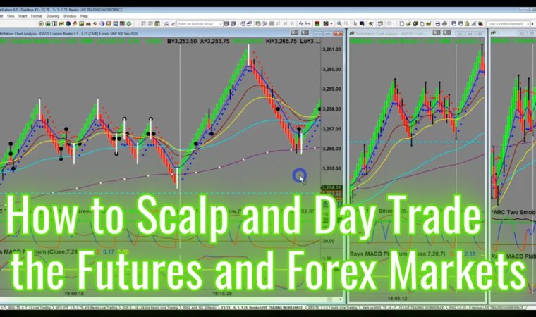 How to Scalp and Day Trade the Futures and Forex Markets | www.iamadaytrader.com | Ray Freeman