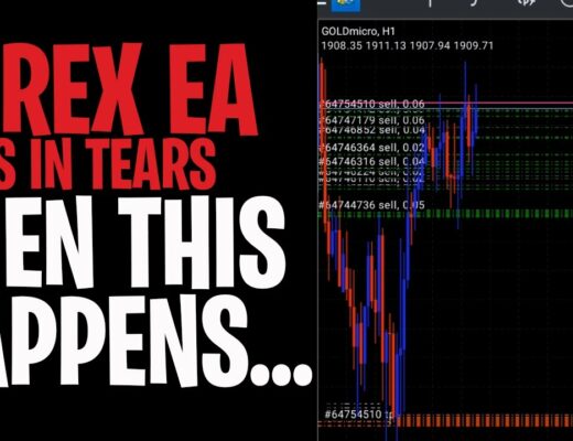 Forex robot live trading | making money with forex EA or automated trading software – live trading