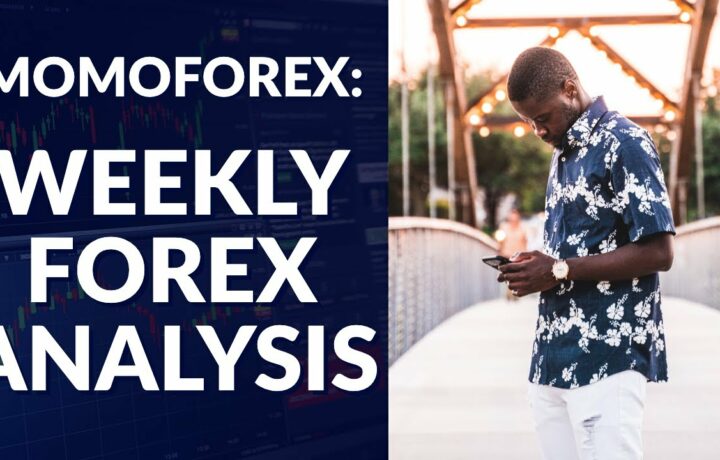 Weekly Forex Market Analysis || Momo Forex || Lucid FX