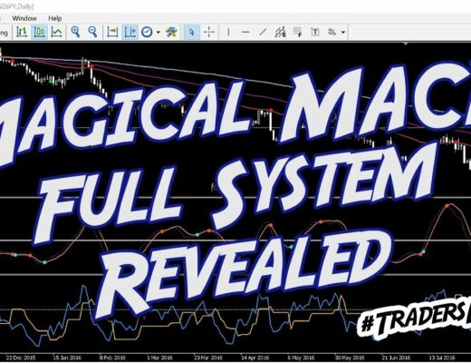 Magical MACD Divergence System Revealed by Forex Trader
