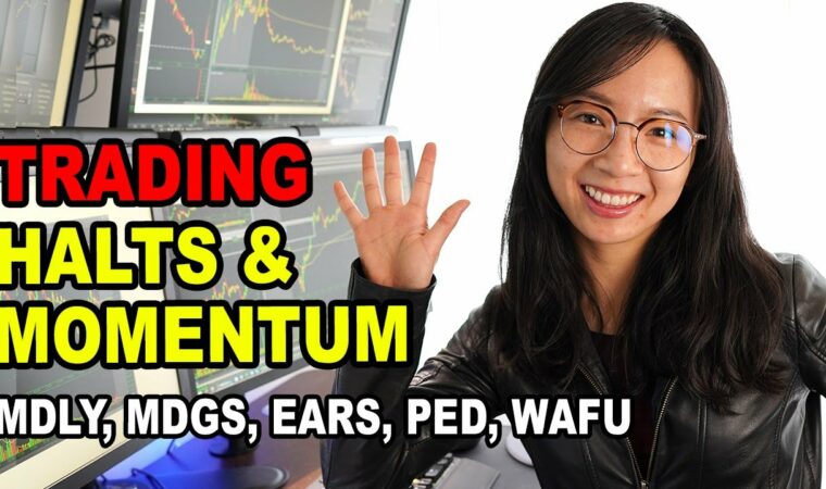 Trading Momentum Stocks, Trading Halts, Short Squeezes MDLY, MDGS, EARS, PED Trading Recap
