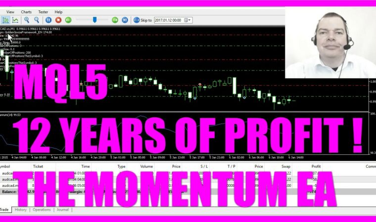 MQL5 TUTORIAL – ADVANCED 12 YEARS OF PROFIT MOMENTUM EA