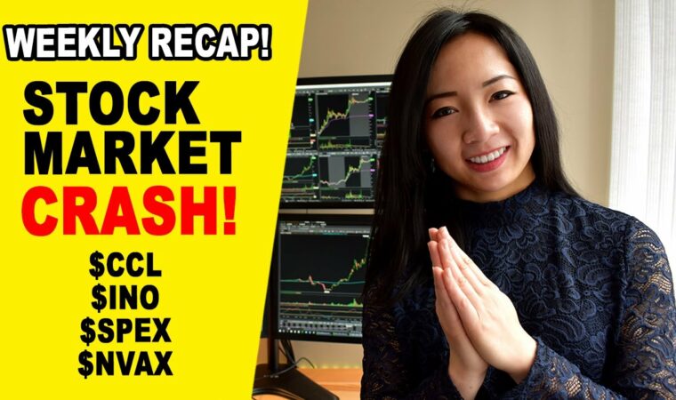 Day Trading Stock Market Crash $INO $SPEX $AIM $OPK $CODX Weekly Recap