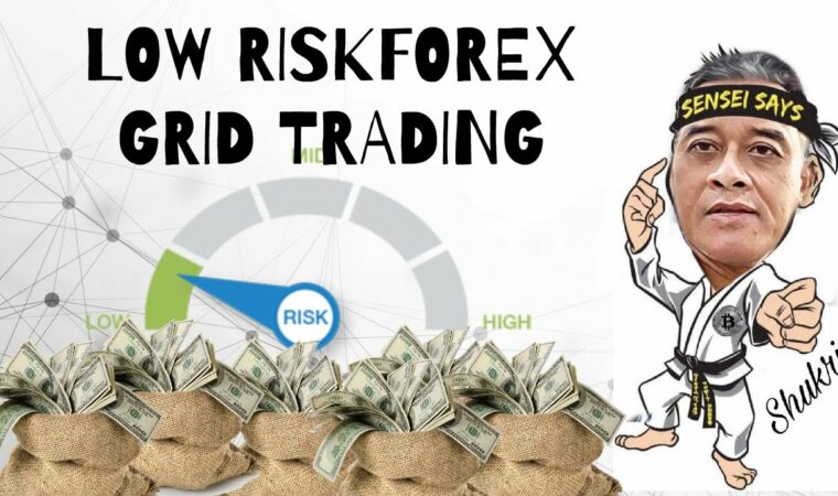 LOW RISK FOREX GRID TRADING