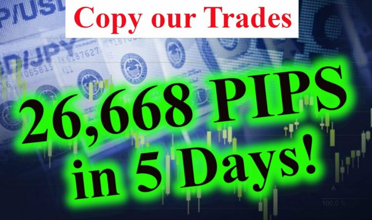 Forex Trading Group Weekly Update | NEW RESULTS | 26,000 PIPS 5 DAYS