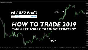 Best Forex Day Trading Strategies for Beginners