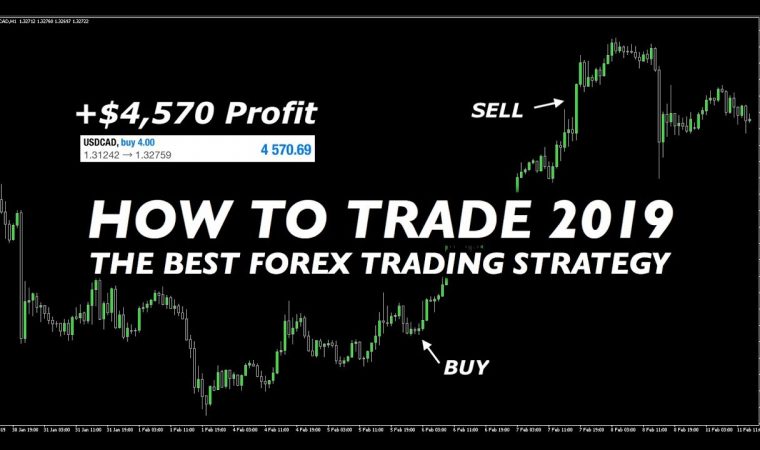 Best Forex Day Trading Strategies for Beginners