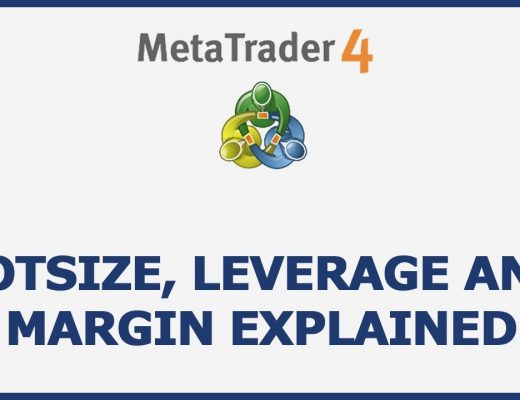 Lot Size, Leverage And Margin