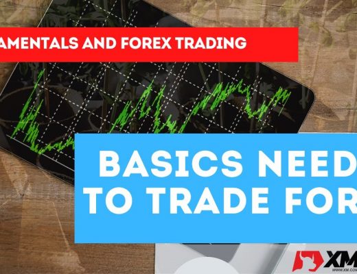 FUNDAMENTALS AND FOREX TRADING | Know the basics needed to trade Forex