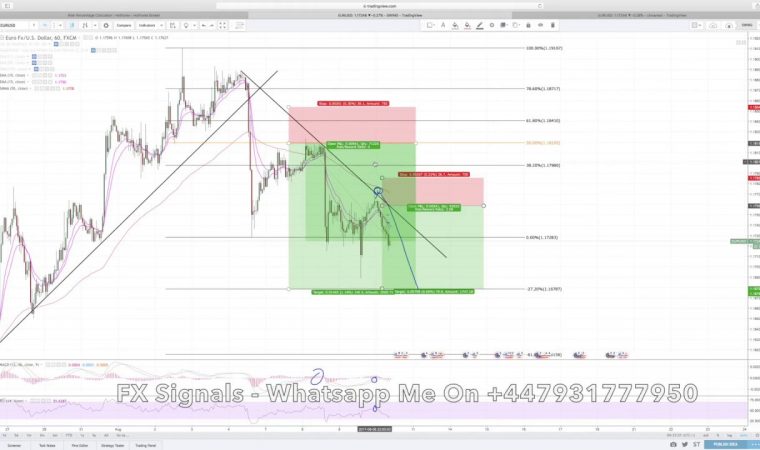 Swing Trading 1 Hour Strategy For FOREX – Simple & Easy