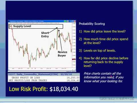 Sam Seiden: Forex Swing Trading With Supply and Demand Analysis
