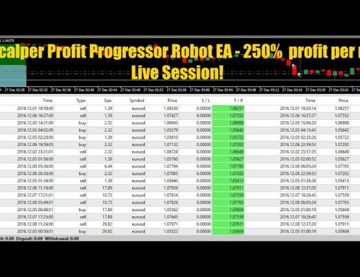 Forex Robot Scalper Profit Progressor EA – 250% profit per month – live session!