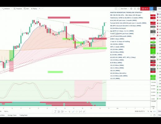 FOREX! – Trader Goes 20/20 Trading the Momentum Strategy!