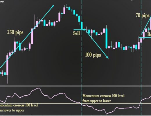 How to Trade With the Momentum Indicator Best Forex Trading Strategy