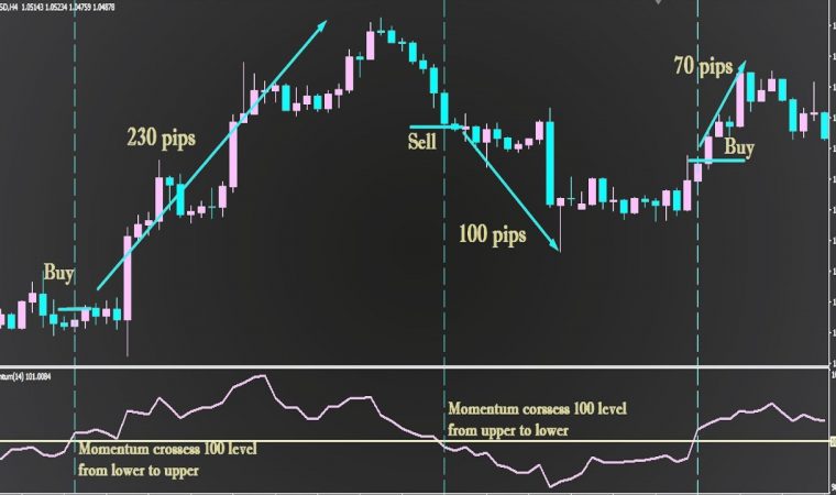 How to Trade With the Momentum Indicator Best Forex Trading Strategy