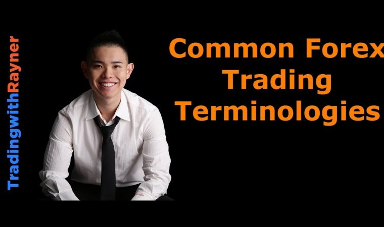 Forex Trading for Beginners #4: Common Forex Trading Terminologies by Rayner Teo